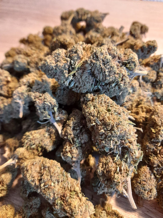 Amnesia Haze - Le Zeste Vivifiant