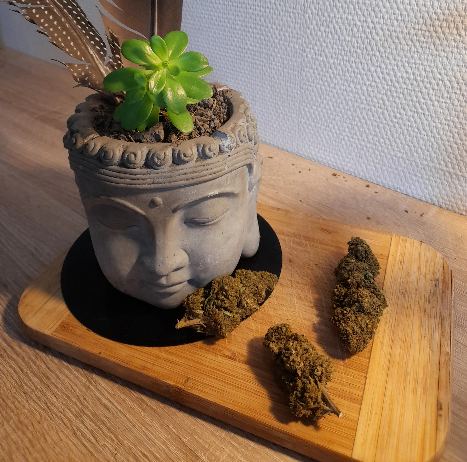 Fleurs de CBD à Hédé-Bazouges | Qualité haute en Livraison