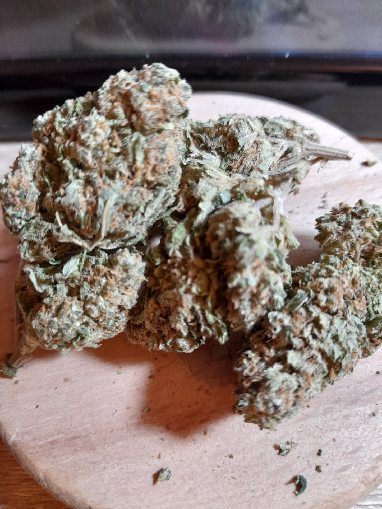 Harlequin - La Symphonie Boisée