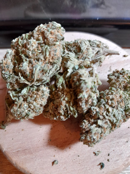 Harlequin - La Symphonie Boisée