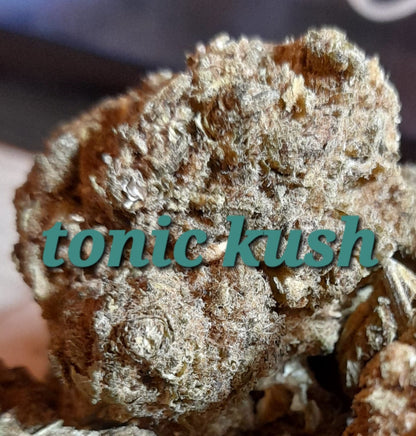 Fleur de CBD Tonic Kush - La Balade en Forêt