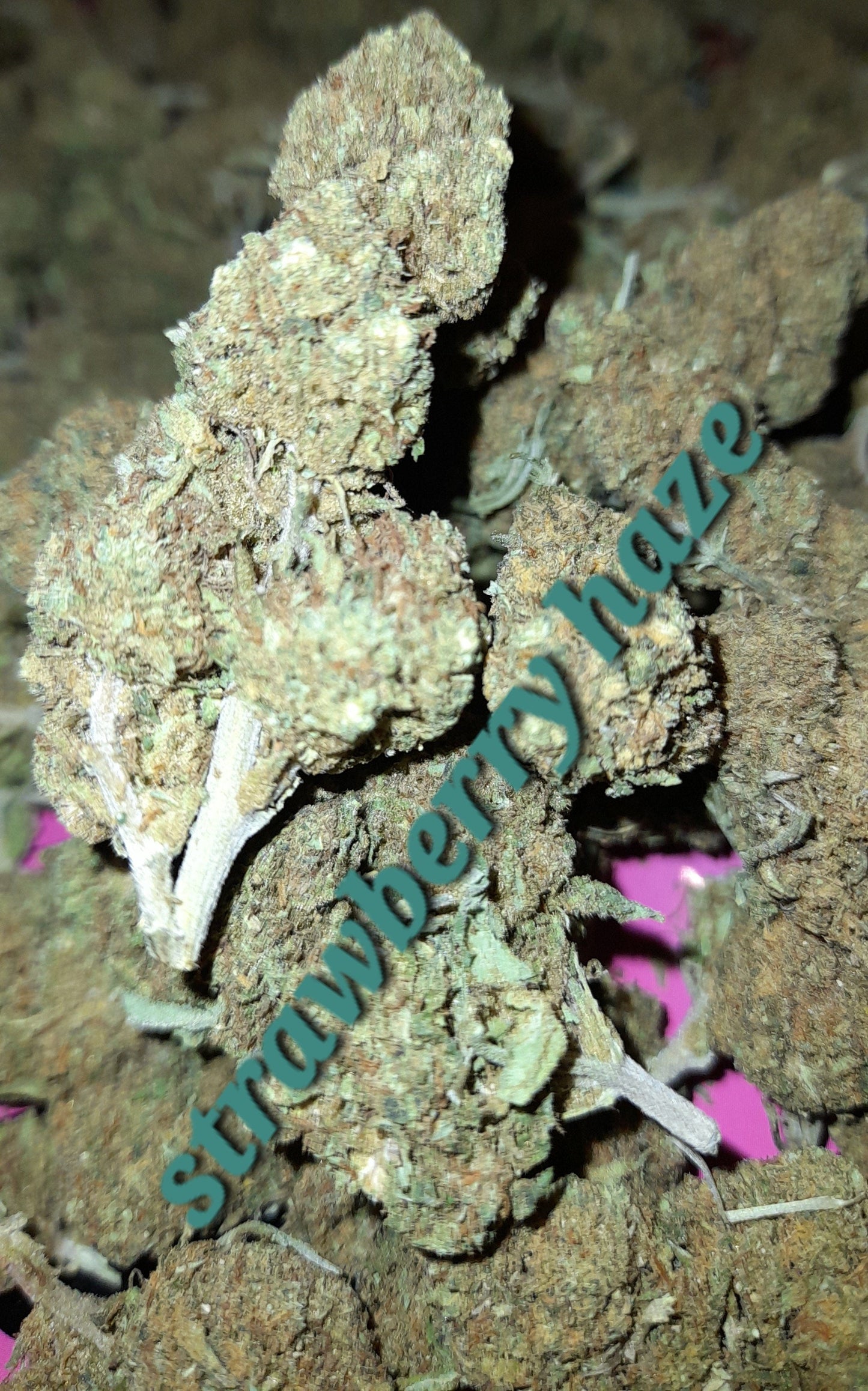 Strawberry Haze : La Douceur Fruitée